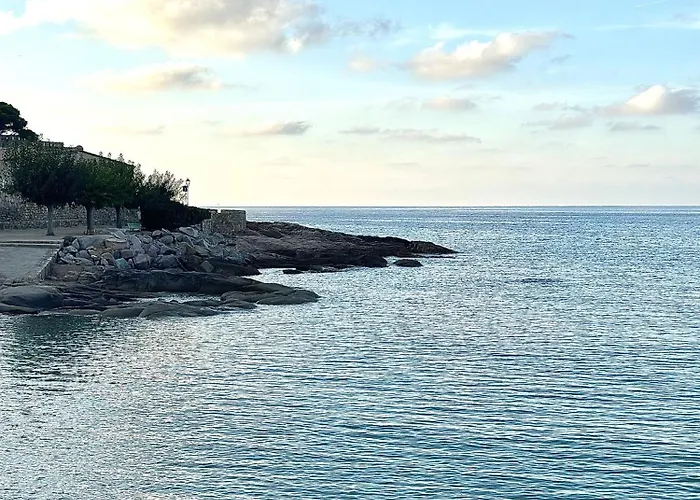 Proche De La D'algajola *